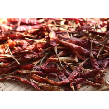 Organic Guntur Dry Red Chilli